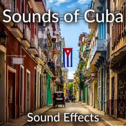 Sounds of Cuba Sound Effects - Sound Ideas