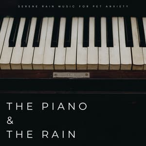 The Piano & The Rain: Serene Rain Music For Pet Anxiety - Sleepy Dogs