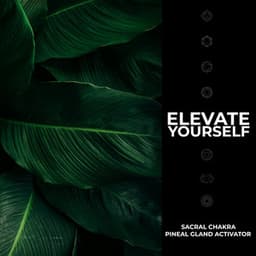 Elevate Yourself - Sacral Chakra