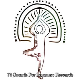 73 Sounds For Immense Research - Meditation Focus