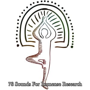 73 Sounds For Immense Research - Meditation Focus