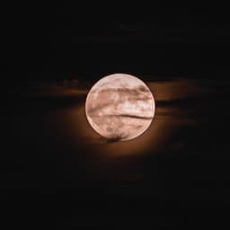 Night Rest: Music for Peaceful Slumber - Relax Meditate Sleep Media