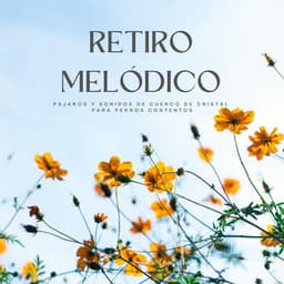 Retiro Melódico: Pájaros Y Sonidos De Cuenco De Cristal Para Perros Contentos - Pájaros del oeste