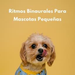 Ritmos Binaurales Para Mascotas Pequeñas - Estados de ánimo binaurales