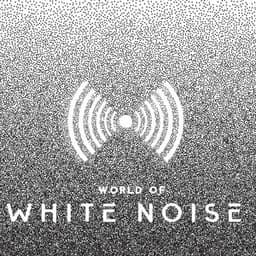 World of White Noise: An Unidentified White Noise Sounds for Sleep and Relaxation - White Noise Universe