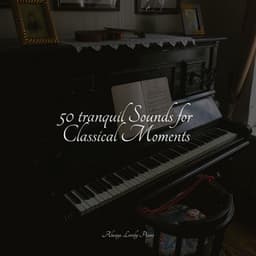 50 tranquil Sounds for Classical Moments - Peaceful Piano Chillout