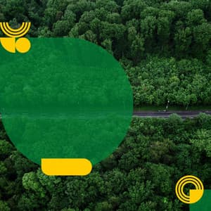 Backdrop for Enjoying Nature - Sultry Jazz Ballad - Calme Ambiance Jazz