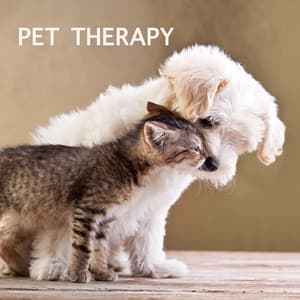 Pet Therapy: Relaxing Music Nature Sounds Nature Music Relaxation for Pets, Cats & Dogs - Pet Couture