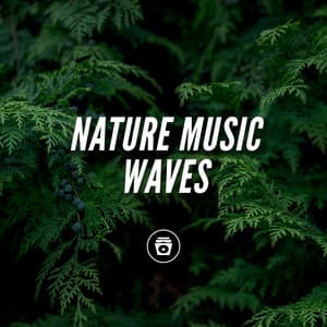 Nature Music Waves - Rain Sounds Nature Collection