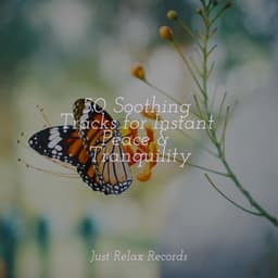 50 Soothing Tracks for Instant Peace & Tranquility - Sonido Del Bosque y Naturaleza