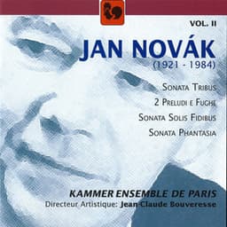 Jan Novák: Sonatas – Preludes, Vol. 2 - Jan Novák