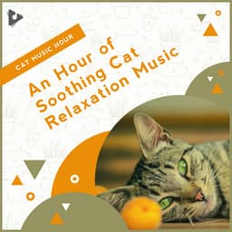 An Hour of Soothing Cat Relaxation Music - Cat Music Hour