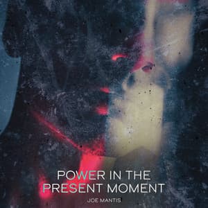 Power in the Present Moment - Joe Mantis