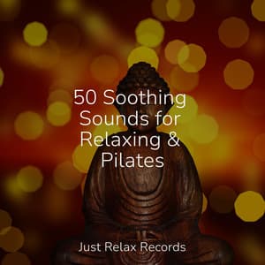 50 Soothing Sounds for Relaxing & Pilates - Relaxed Minds