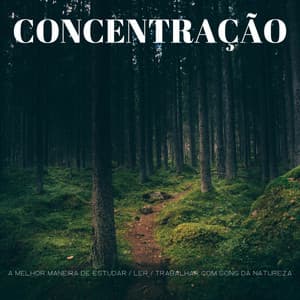 Concentração: A Melhor Maneira De Estudar / Ler / Trabalhar Com Sons Da Natureza - Música Relax para Bares