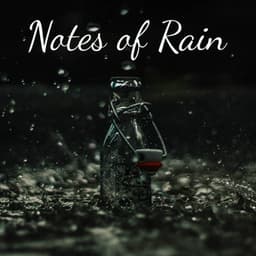 Notes of Rain - Fabricantes De Lluvia