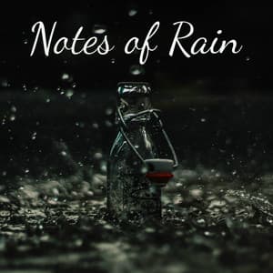 Notes of Rain - Fabricantes De Lluvia