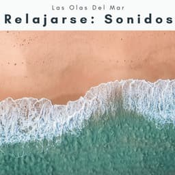 1 Relajarse: Sonidos - Las Olas Del Mar