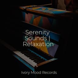 Serenity Sounds | Relaxation - Chakra Balancing Sound Therapy