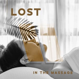 Lost In The Massage - Pause From The Mind