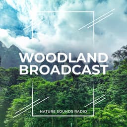 Woodland Broadcast - Nature Sounds Radio