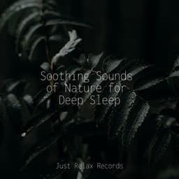 Soothing Sounds of Nature for Deep Sleep - Zen