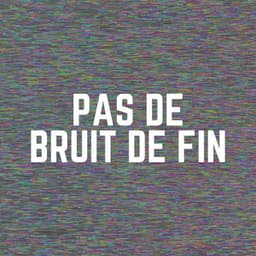 Pas de Bruit de Fin - Bruit Brun
