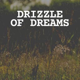 Drizzle of Dreams - Rainfall Place
