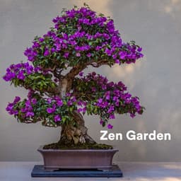 Zen Garden - Zen Meditation Garden