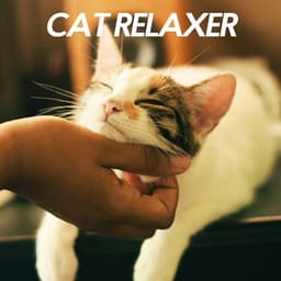 Cat Relaxer - The Cat Relaxer