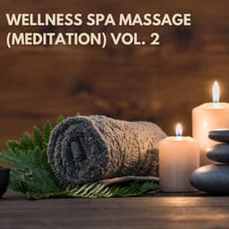 Wellness Spa Massage , Vol. 2 - Thai Massage Music