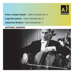 Haydn, Boccherini & Brahms: Cello Works - Antonio Janigro