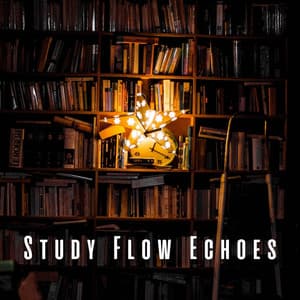 Study Flow Echoes: Ambient Sounds with Chill Lofi Music - lofi stu