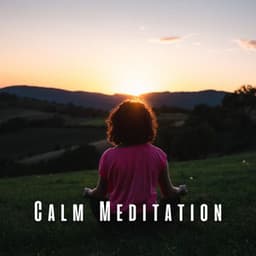 Calm Meditation: Lofi Serenity for Mindfulness - Lofi Minds