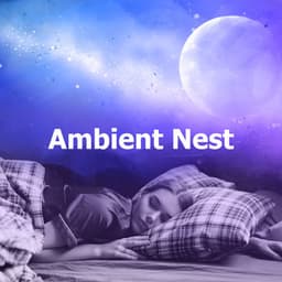 Ambient Nest - Sleep Noise Relax