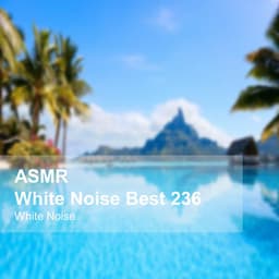 White Noise ASMR Best 236 - White Noise