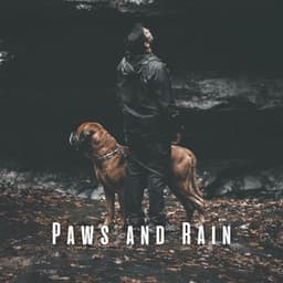 Paws and Rain: Binaural Dog Paradise - The Binaural Beats Factory
