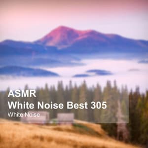 White Noise ASMR Best 305 - White Noise