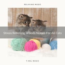 Stress Relieving Woods Noises For All Cats - Cat Total Relax