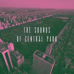 The Sounds of Central Park - Smooth Jazz