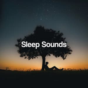 Sleep Sounds - Nature Sounds Nature Music