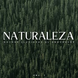 Naturaleza: Noches Lluviosas Al Anochecer Vol. 1 - Sonidos de lluvia y sonidos de la naturaleza