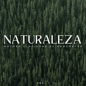 Naturaleza: Noches Lluviosas Al Anochecer Vol. 1 - Sonidos de lluvia y sonidos de la naturaleza