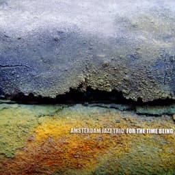 For The Time Being - Angelo Verploegen