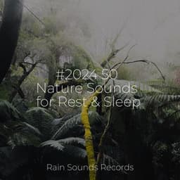 #2024 50 Nature Sounds for Rest & Sleep - PowerThoughts Meditation Club