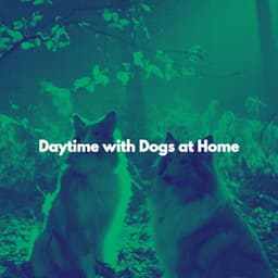 Daytime with Dogs at Home - Smooth Jazz Bar Lounge Session