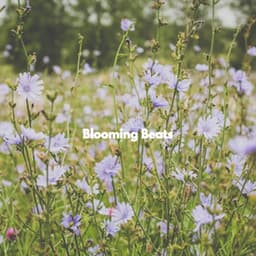 Blooming Beats - Bossa Nova Radio