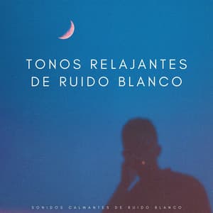 Tonos Relajantes De Ruido Blanco: Sonidos Calmantes De Ruido Blanco - Proyecto de ruido blanco
