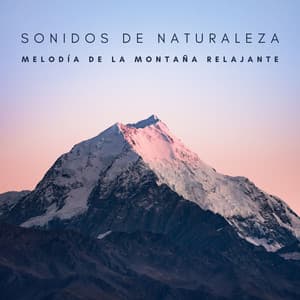 Sonidos De Naturaleza: Melodía De La Montaña Relajante - Musica Relajante