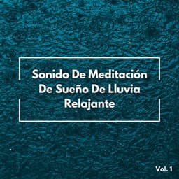 Sonido De Meditación De Sueño De Lluvia Relajante Vol. 1 - Lluvia y frío